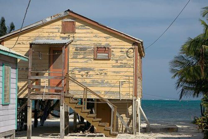 3 Hours Barrier Reef Tour in Caye Caulker, Belize - A 3-Hour Reef Fix on Caye Caulker
