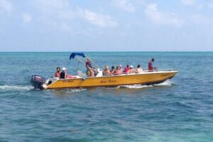 3 Hours Barrier Reef Tour in Caye Caulker, Belize - Getting to the Water: Tropical Paradise Hotel Meeting Point