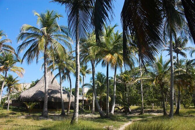 5 Islands Tour from Cartagena Including Snorkeling and Lunch - The big-picture value of this 5 Islands tour from Cartagena