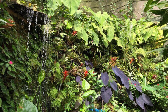 Admission to Andoke Butterfly Center in Cali with Release Ritual - Mariposario Andoke: where the visit starts near Cristo Rey