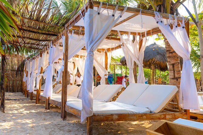 Adventure full day Isla Barú + Mangroves + Snorkel + bioluminescent plankton - Price and Logistics: Does $65 Make Sense for What You Get?