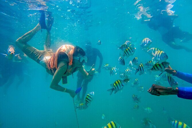 Adventure full day Isla Barú + Mangroves + Snorkel + bioluminescent plankton - Playa Blanca at the Mambo Beach Club: Lunch, Loungers, and the Crowds Reality