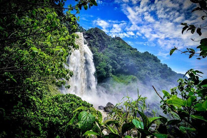 Aerial Hammocks, Zip and Waterfall Trek on Medellin Private Tour - Private Guide, Private Group: How It Changes the Experience