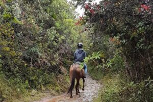 Andes Mountains Horseback Riding - Half Day - Meet your guide, get helmeted, then mount up