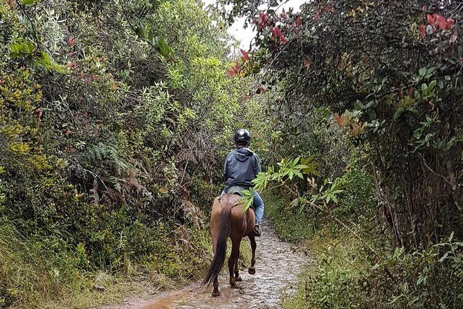 Andes Mountains Horseback Riding - Half Day - Meet your guide, get helmeted, then mount up