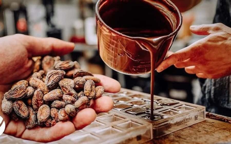 Cacao Experience Tour - Quick takeaways