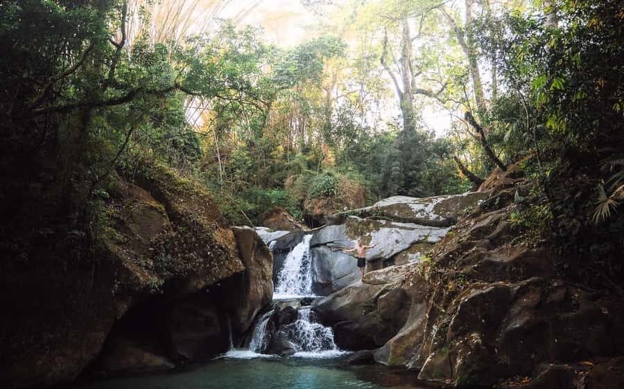 Cacao Experience Tour - Bird Watching, Songs, and Nests: Learning the Jungle by Listening