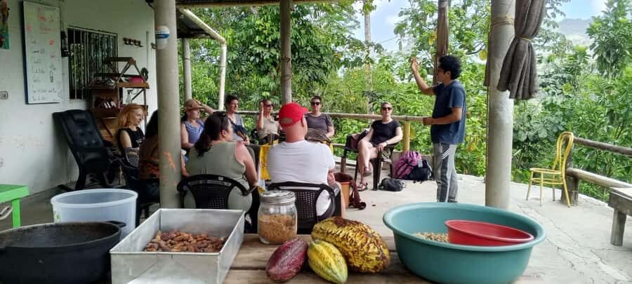 Cacao Experience Tour - Waterfall Time With Clay: The Best Ending, With Real Safety Reality