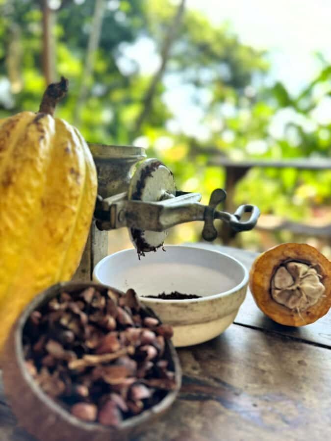 Cacao Experience Tour - From the Church in Minca to the Cacao Forest: How the Time Adds Up