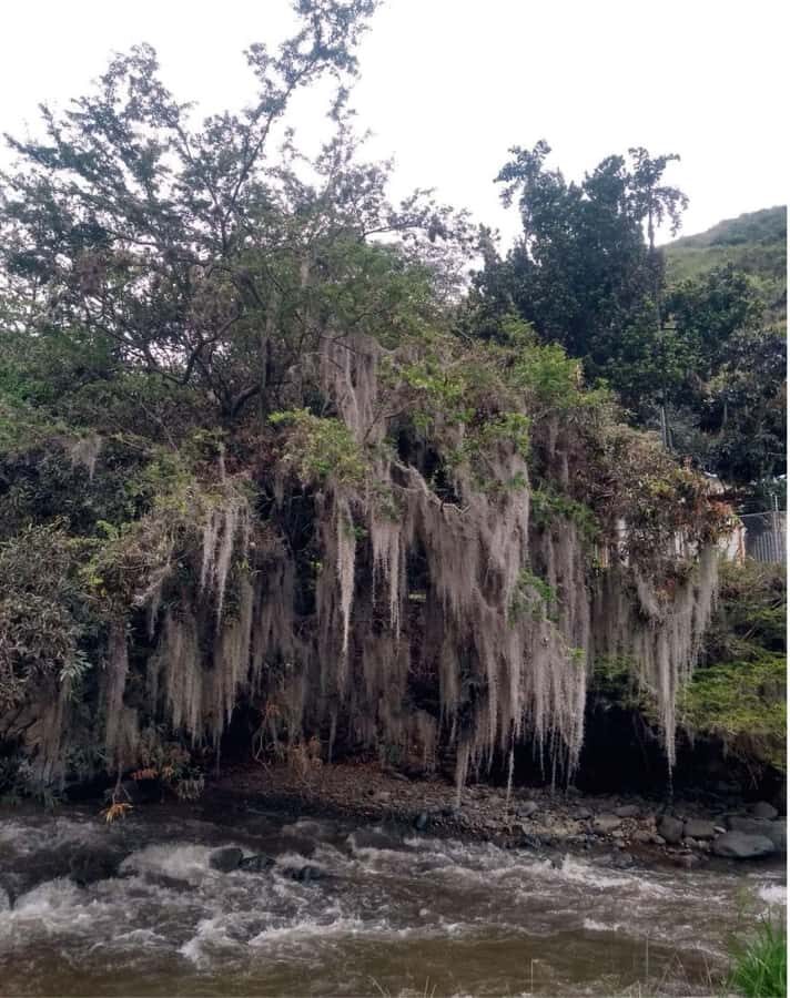 Cali: Cali River Waterfall and Great River Pools Tour - What to bring (so the pool time is actually fun)