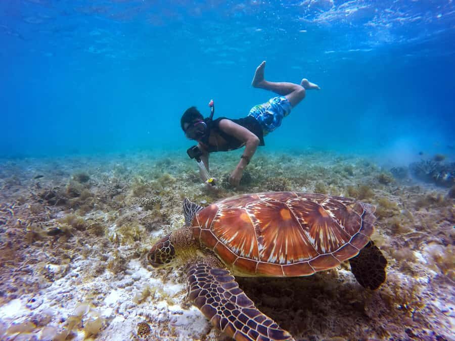 Cartagena: 5 Islands Boat Tour with Lunch, Snorkeling, & Bar - Cruising Cartagena’s bay and the Bocachica area