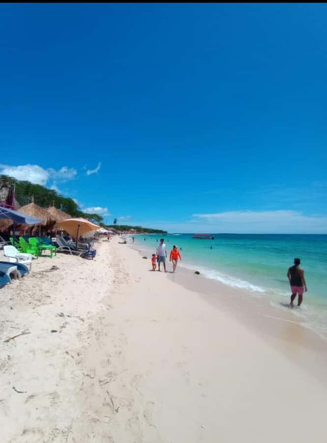 Cartagena: Barù Island Playa Blanca with Lunch - What makes it work (and what to watch)