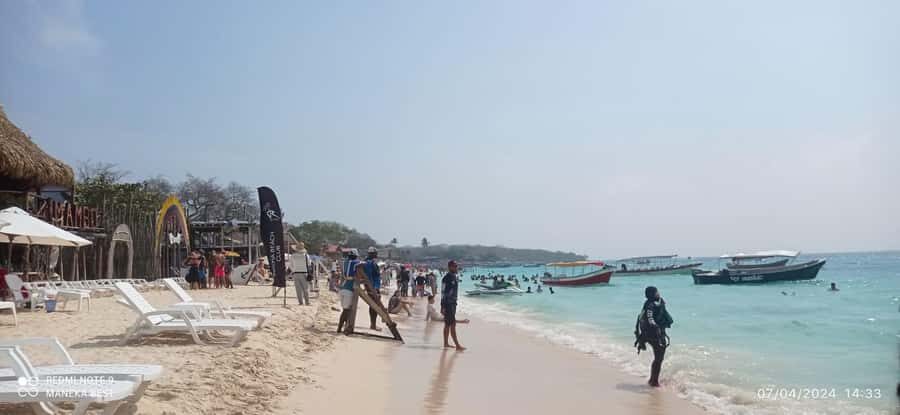 Cartagena: Barù Island Playa Blanca with Lunch - The guide and organization: where this tour shines