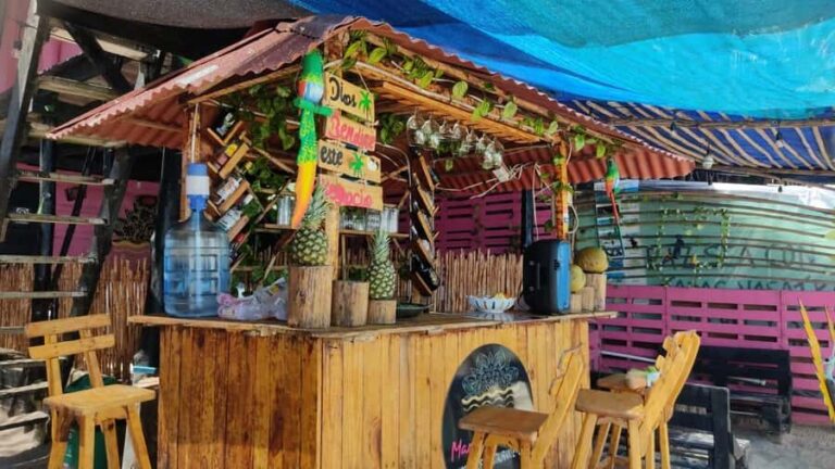 Cartagena: Baru Island & Playa Tranquila Day Trip with Lunch - The ride to Barú Island: air-con comfort plus one long crossing