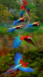 Cartagena: Entrance to the AVIARY with TRANSFER INCLUDED - Aviario Nacional de Colombia: what you’ll actually experience