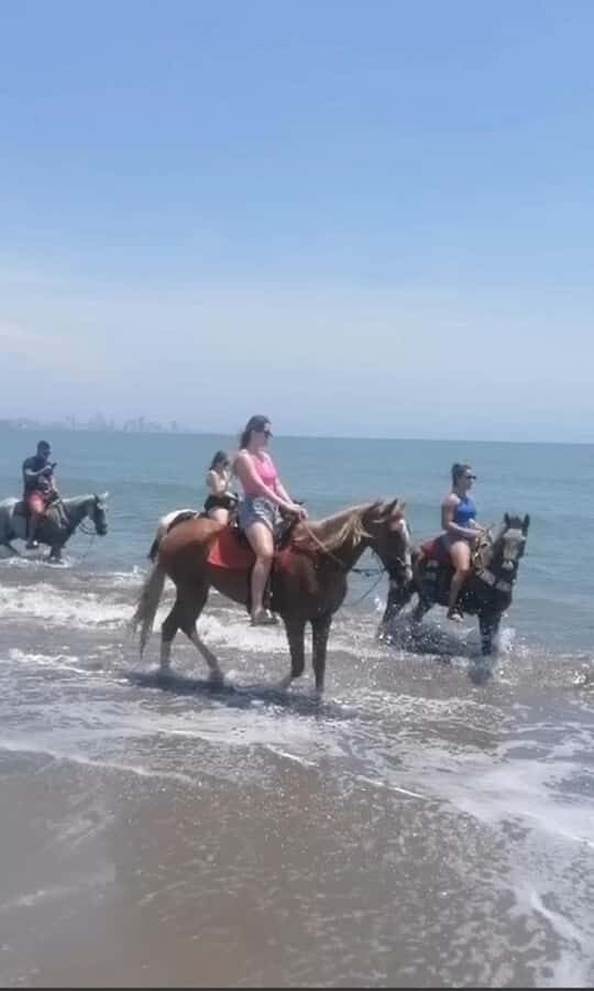 Cartagena: Horse Riding on the Beach with Photos and Lunch - Key Things You’ll Notice Right Away