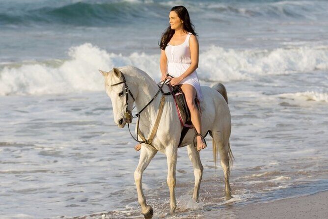 Cartagena: Horseback Riding at the Beach During Day or Sunset - Key Highlights at a Glance