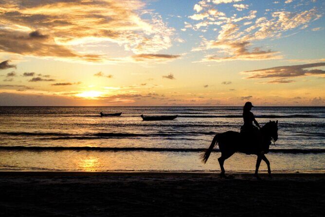 Cartagena: Horseback Riding at the Beach During Day or Sunset - Horseback on La Boquilla: Why This Ride Works So Well