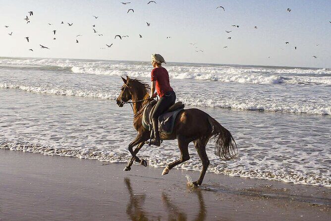 Cartagena: Horseback Riding at the Beach During Day or Sunset - The 1 Hour 15 Minutes on Horseback: What You Actually Do