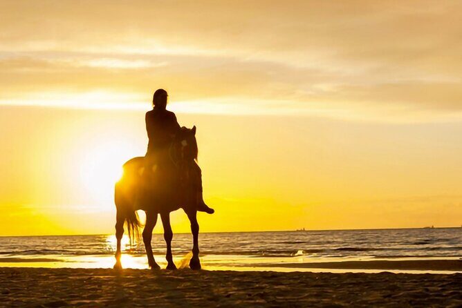 Cartagena: Horseback Riding at the Beach During Day or Sunset - Logistics That Can Make or Break the Day