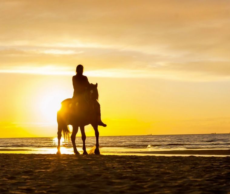 Cartagena: Horseback Riding on the Beach at Sunset - Start of the ride at María Palito: horses, instructions, and quick safety checks