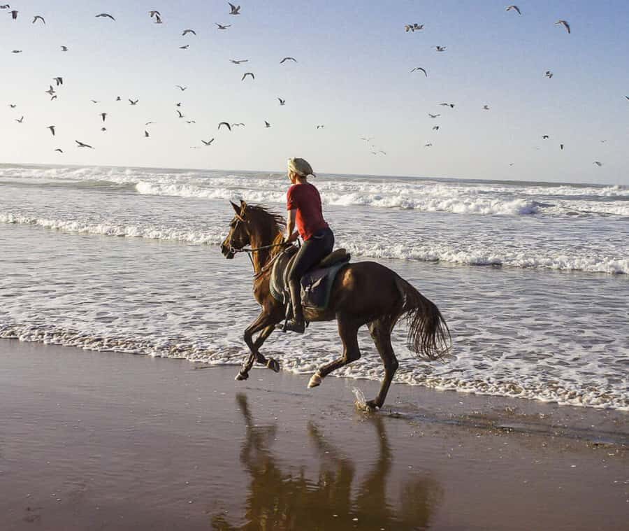 Cartagena: Horseback Riding on the Beach at Sunset - The beach section: sunset views, calm horses, and how wet the ride really is