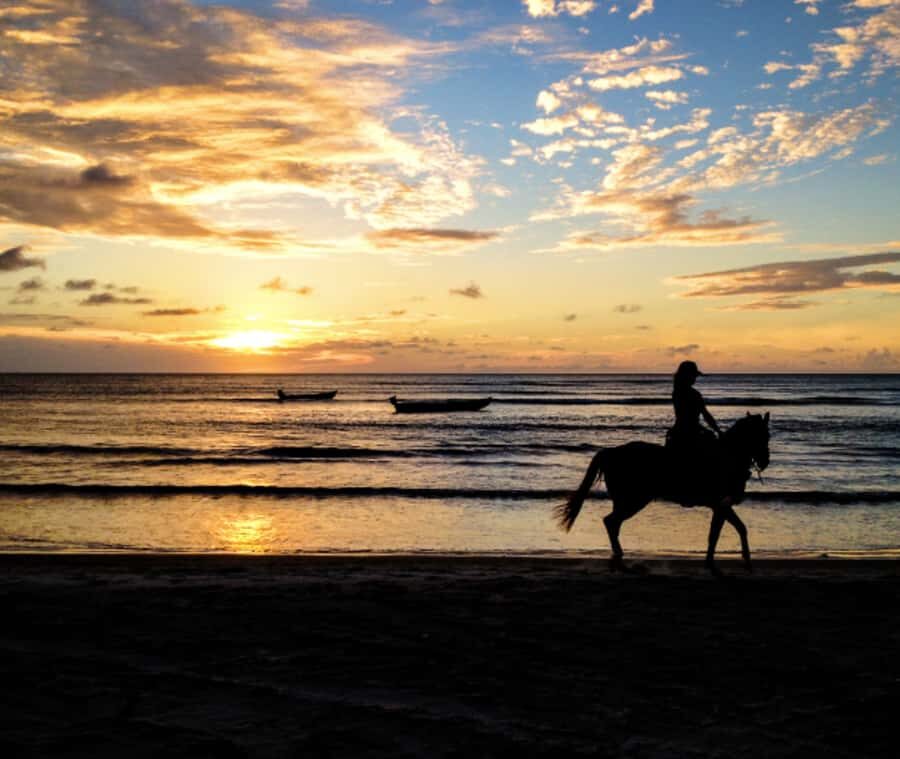 Cartagena: Horseback Riding on the Beach at Sunset - The ride’s structure: a simple loop that fits real vacation schedules