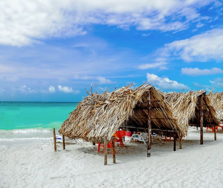 Cartagena: Horseback Riding on the Beach at Sunset - Caribbean lunch: why the food is part of the experience, not an afterthought
