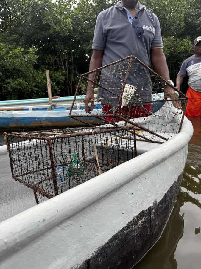 Cartagena: Mangrove Eco Tour & Fishing with Transportation - Stop at the natural island area: local activity and flora/fauna