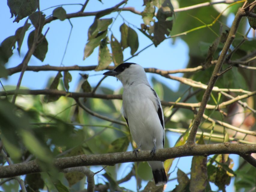Cartagena: Private Bird-Watching Tour with Breakfast - Photos after the tour: a smart souvenir
