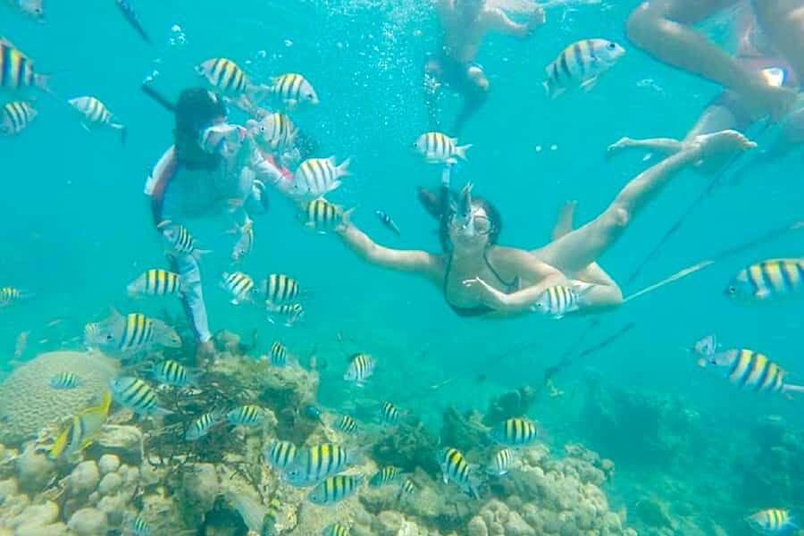 Cartagena: Snorkel, Mangroves and Playa Blanca Tour - Key things to know before you go