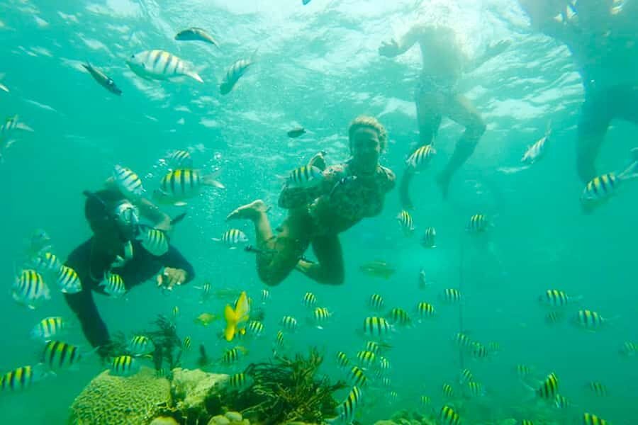 Cartagena: Snorkel, Mangroves and Playa Blanca Tour - Photos, GoPro moments, and what to watch for