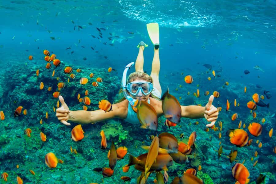 Cartagena: Snorkel, Mangroves and Playa Blanca Tour - A full Barú-to-Playa Blanca day: how the tour really flows
