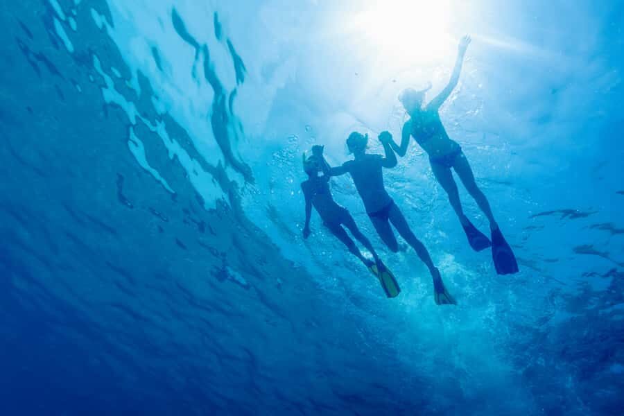 Cartagena: Snorkel, Mangroves and Playa Blanca Tour - The ride to Barú: why that bus hour can be part of the experience