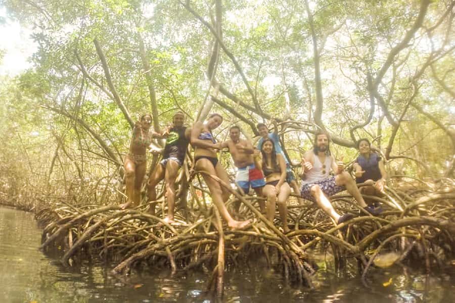 Cartagena: Snorkel, Mangroves and Playa Blanca Tour - Boat time and arrival: the quick cruise before you hit the water