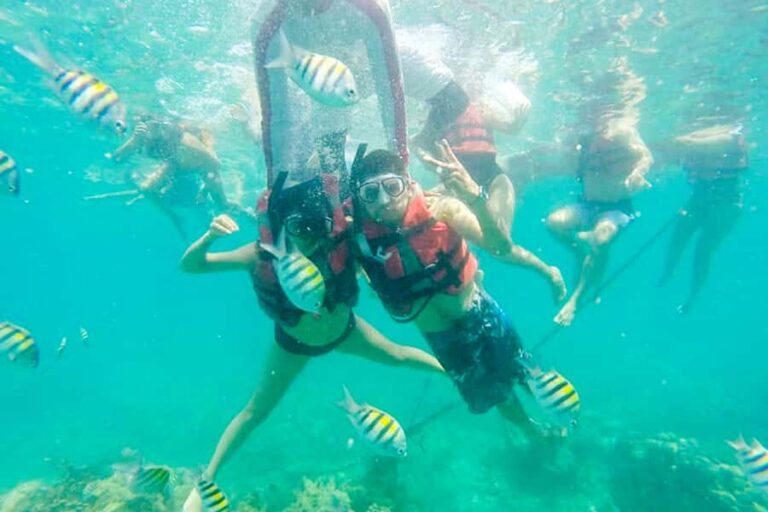 Cartagena: Snorkel, Mangroves and Playa Blanca Tour - Pickup in Cartagena: where to meet and what to expect