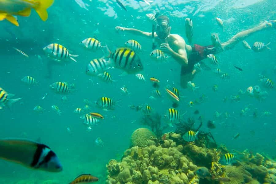 Cartagena: Snorkel, Mangroves and Playa Blanca Tour - Bonus stops on the way: almonds, caves, and quick picture breaks