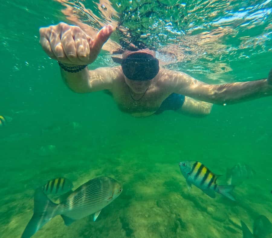 Cartagena: Visit 4 destinations by boat with lunch - Key points to know before you go