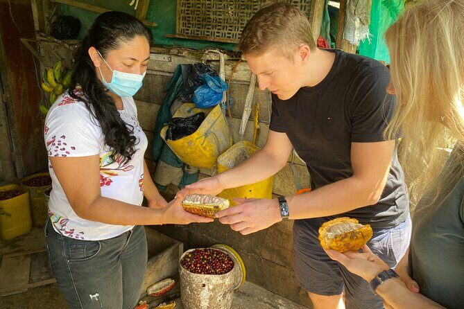 Chocolate tour near Medellin - Key highlights worth your attention