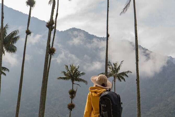 Cocora Valley and Salento Hike Tour - Private Tour Value: Transfers, Insurance, and No One Else in Your Group