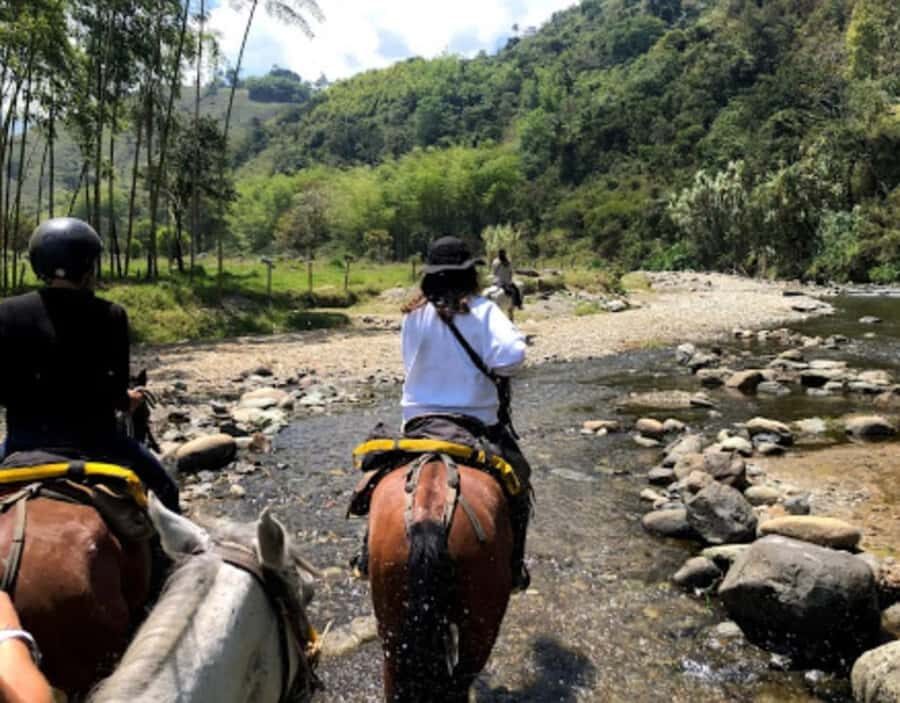Cocora Valley: Salento & Private Horseback Riding Tour - Horseback starts in Salento (not inside Cocora Valley)
