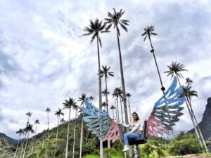 Cocora Valley: Salento & Private Horseback Riding Tour - Pickups from Armenia, Filandia, Pereira, or Salento make it easy
