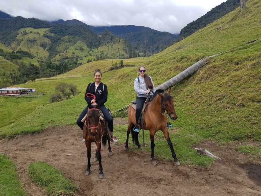 Cocora Valley: Salento & Private Horseback Riding Tour - The traditional willys jeep ride adds the coffee-culture vibe