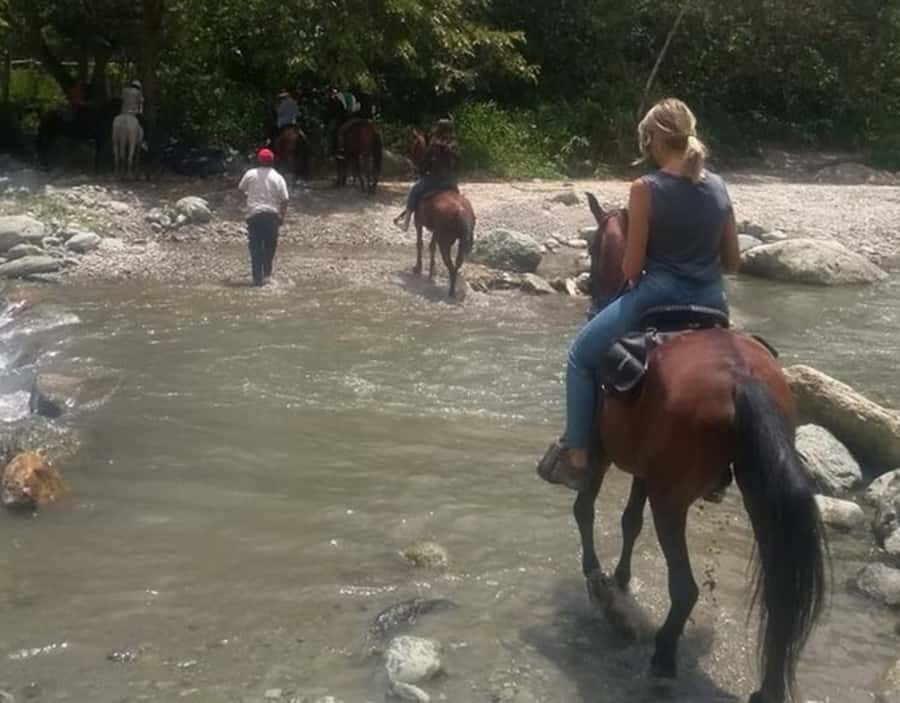 Cocora Valley: Salento & Private Horseback Riding Tour - Why the UNESCO-style Coffee Cultural Landscape angle matters