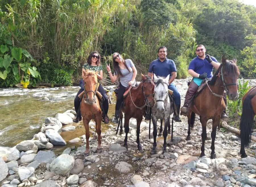 Cocora Valley: Salento & Private Horseback Riding Tour - What to bring: shoes, water, sunscreen, and camera time