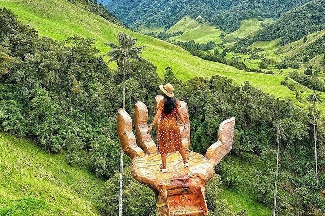 Cocora Valley Tour and Coffee Farms - The Cocora Valley walk: viewpoints, wax palms, and photo stops
