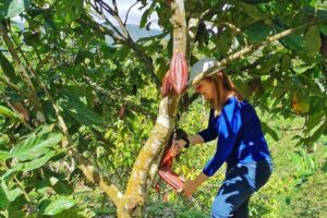 Coffee & Chocolate Private Tour in Medellin: Genuine Experience - Price and what you actually get for $179