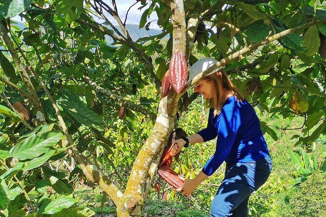 Coffee & Chocolate Private Tour in Medellin: Genuine Experience - Price and what you actually get for $179