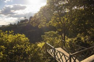 Coffee Experience from bean to cup - Entering La Casa Grande Coffee Hacienda: The Bean-to-Cup Story