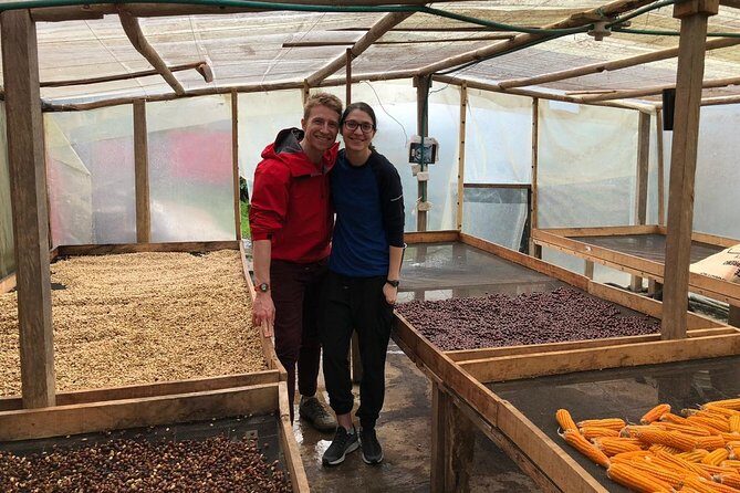 Coffee Farm and Salento Walking Tour - Salento in one hour: the walk that ties coffee to town life